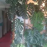 Lux Hotel Merano