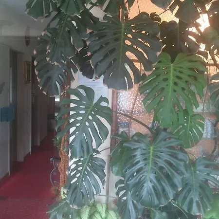 Lux Hotel Merano
