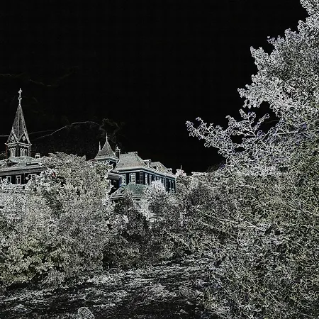 Lux Merano